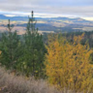 Meet your Posher, Discover with the wagner kids